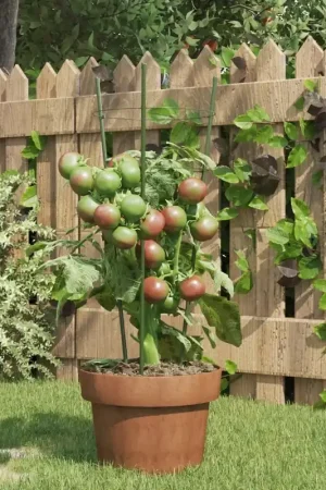 Solo Oggi Supporti Piante da Giardino con 3 Anelli 5pz Verde 45cm Acciaio 319372