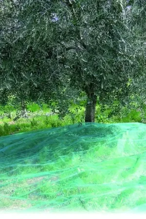 Confine RETE PER OLIVE ANTISPINE mt. 4x6 Offerta